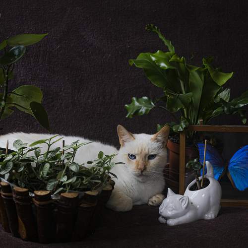 Photo #5745128
