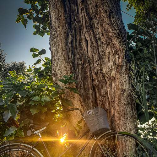 Photo #5745725
