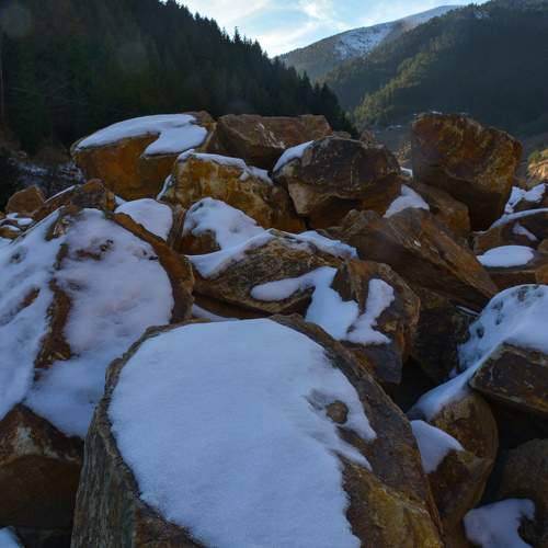 Photo #5745957
