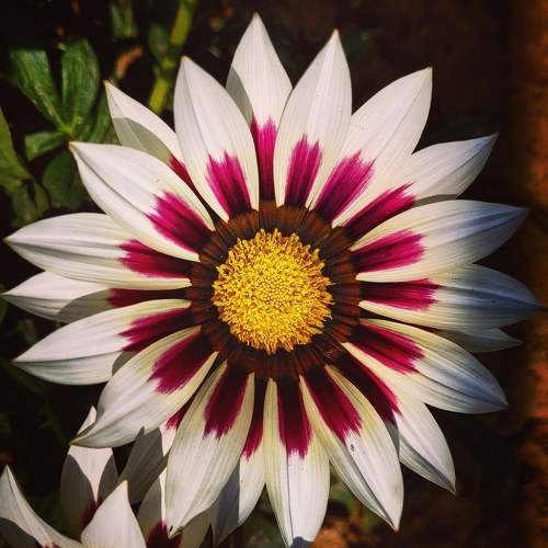 Photo #5746060