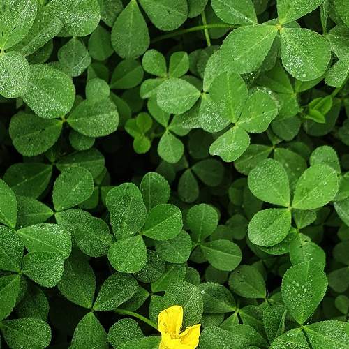 Photo #5746274