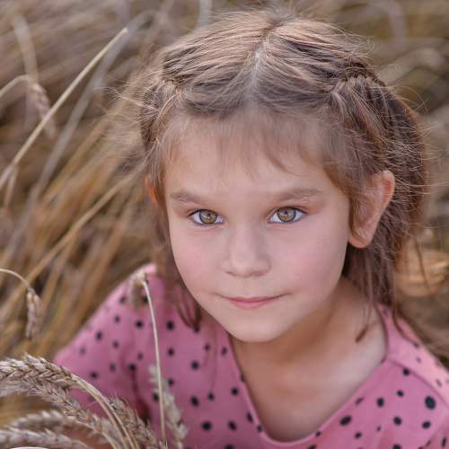 Photo #5746411