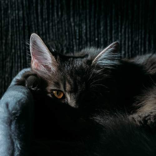 Photo #5746588