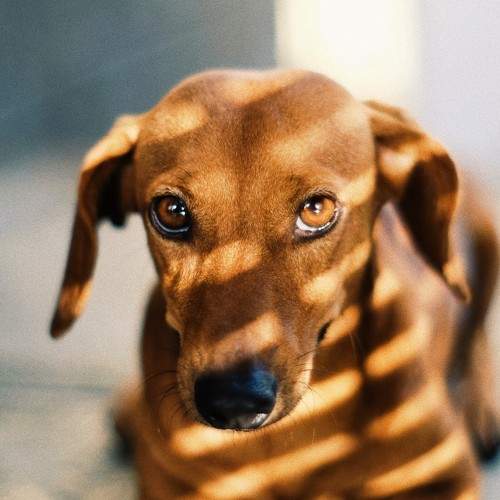 Photo #5746671