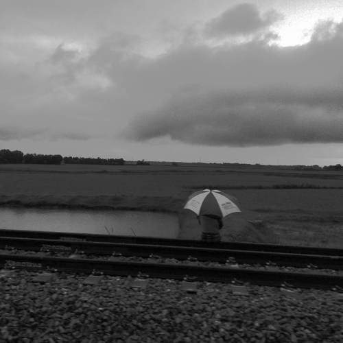 Photo #5746804