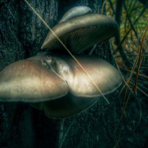 Photo #5747040