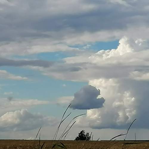 Photo #5747111