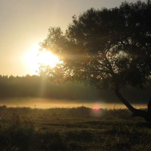 Photo #5747311