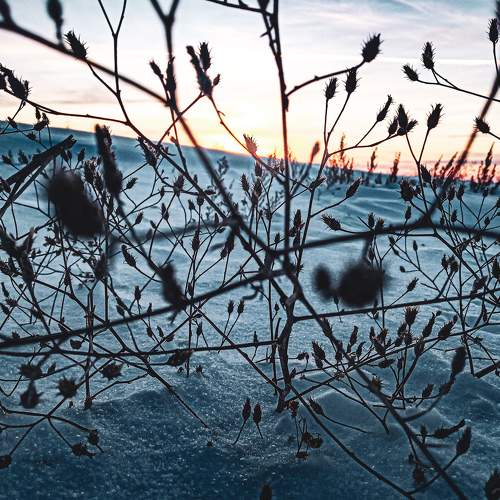 Photo #5747373