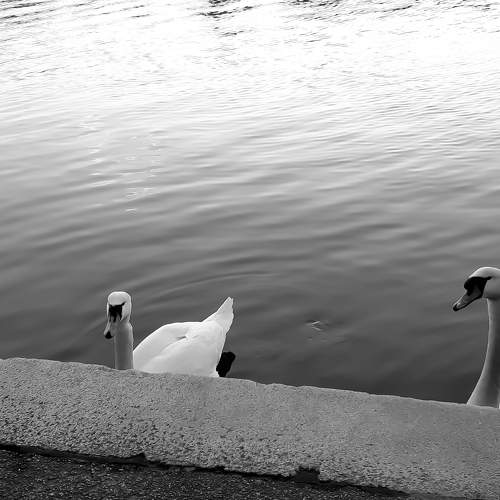 Photo #5747422