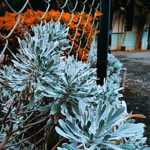Photo #5747708