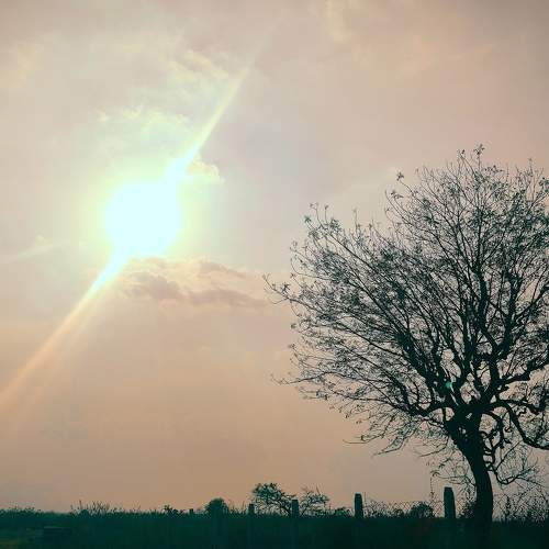 Photo #5747723