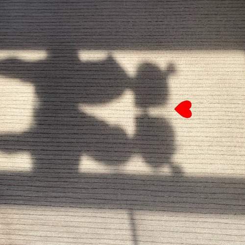 Photo #5747972