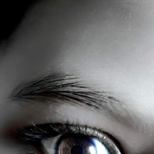 Photo #5748156