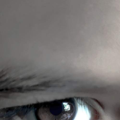 Photo #5748157