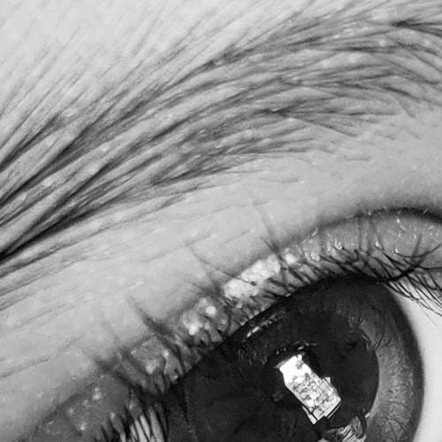 Photo #5748158