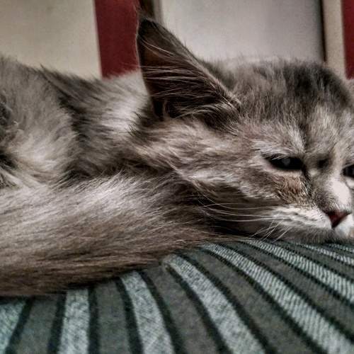 Photo #5748303