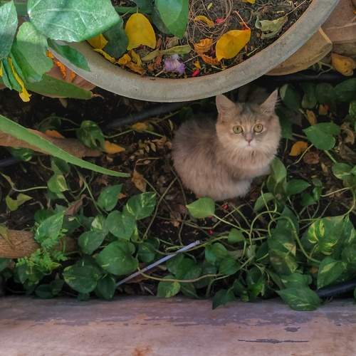 Photo #5748315