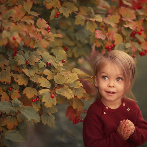 Photo #5748922
