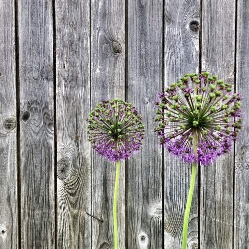 Photo #5749380
