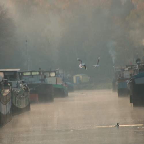 Photo #5749420