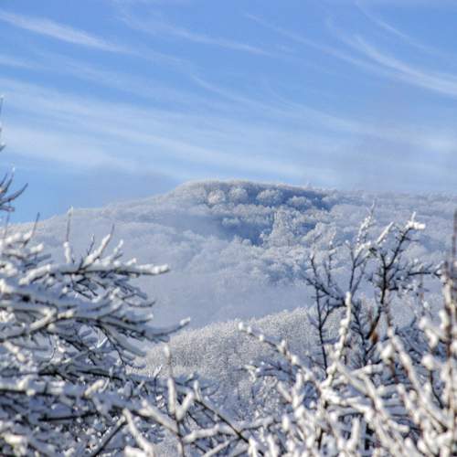 Photo #5749423