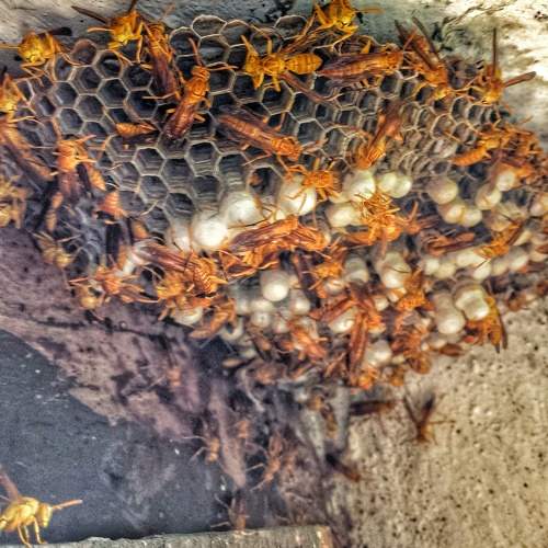 Photo #5749544