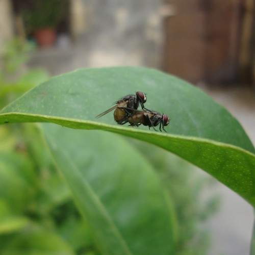 Photo #5749618
