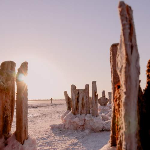 Photo #5749797