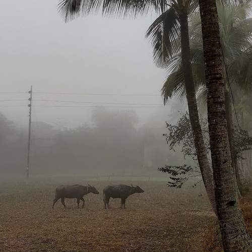 Photo #5749955