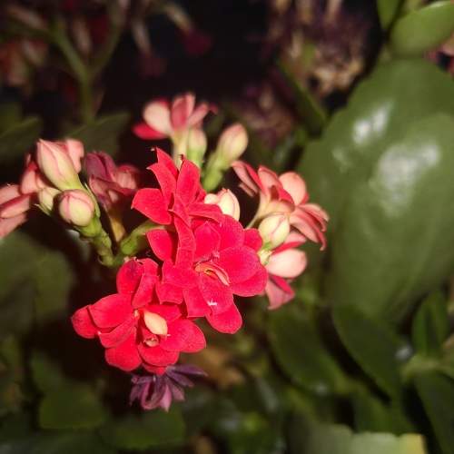 Photo #5750405