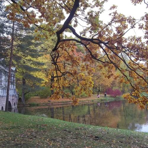 Photo #5750440