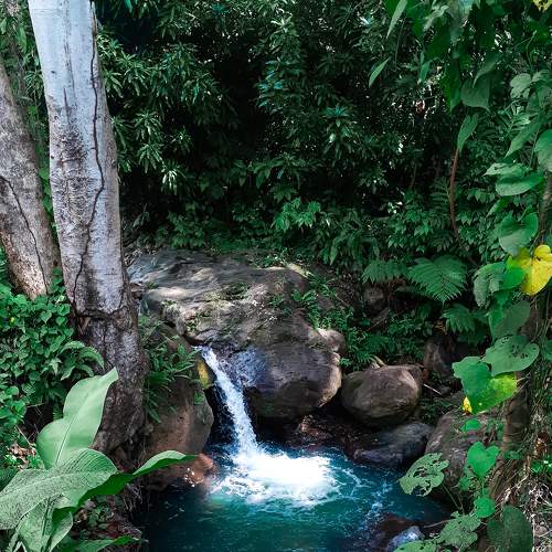 Photo #5750981