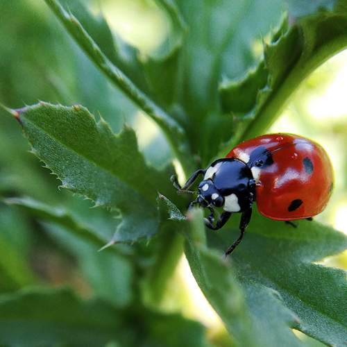 Photo #5751032