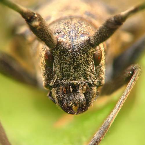 Photo #5751081