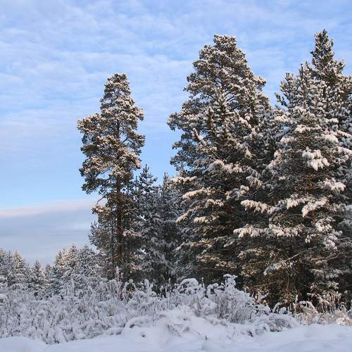 Photo #5751376