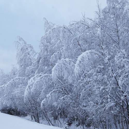 Photo #5751383