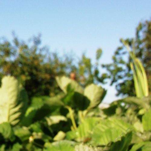 Photo #5751417