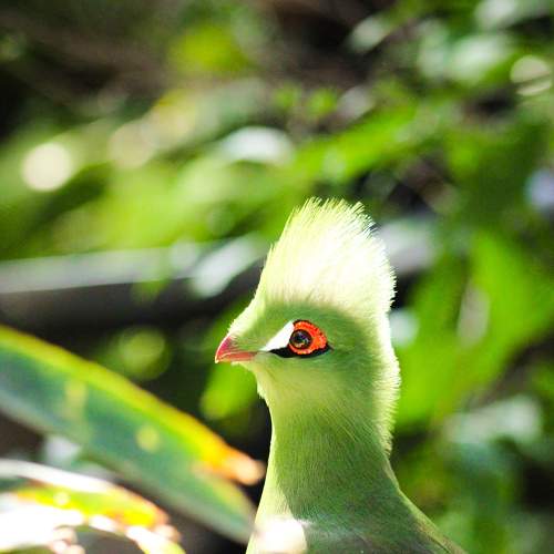 Photo #5751618