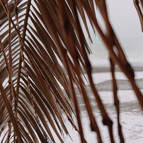 Photo #5751789