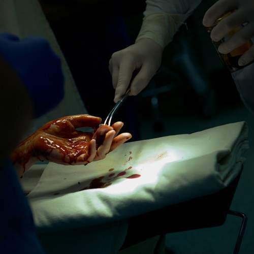 Photo #5752055