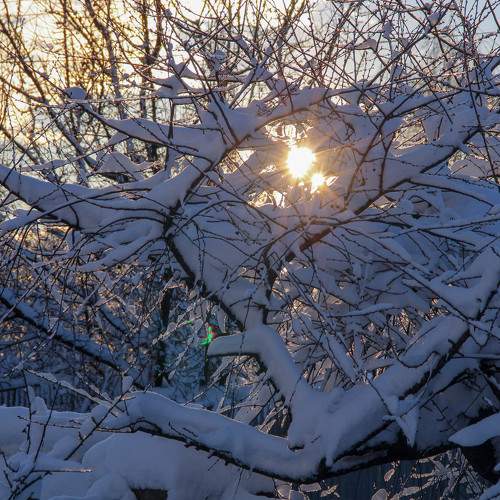 Photo #5752166