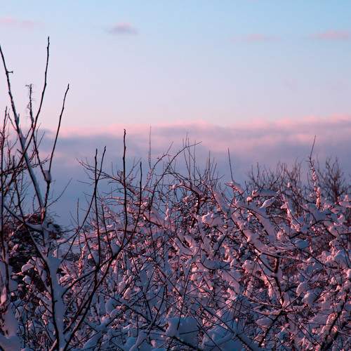 Photo #5752201