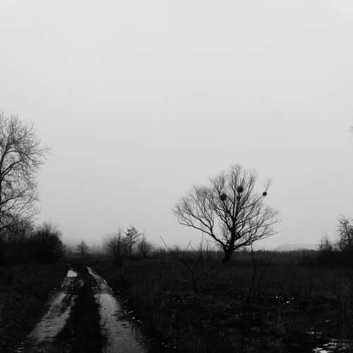 Photo #5752471