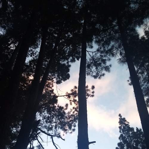 Photo #5753213