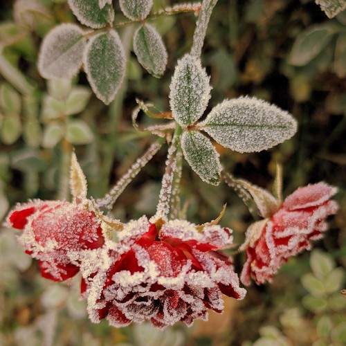 Photo #5753269