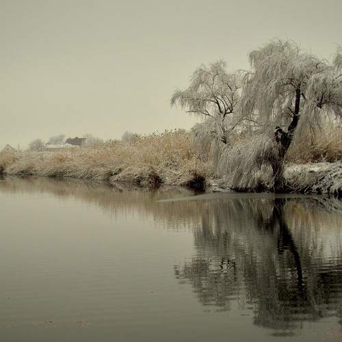 Photo #5753415