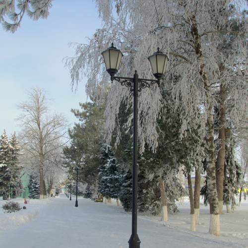 Photo #5753488