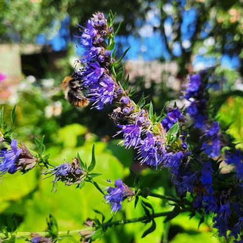 Photo #5753857