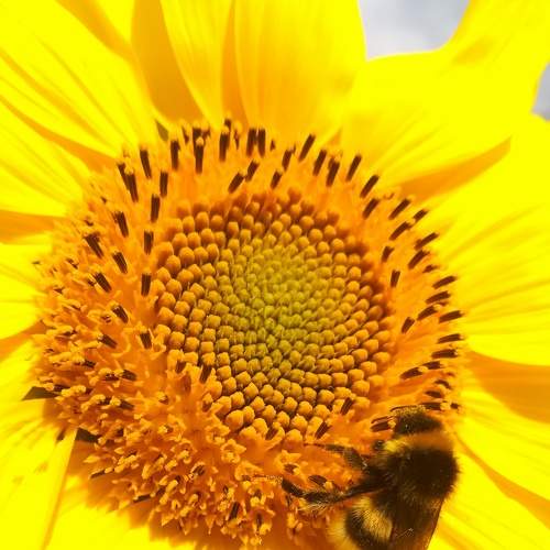 Photo #5753901